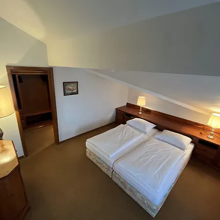 Hotel Appartment-hotel-hoelzl Grünwald