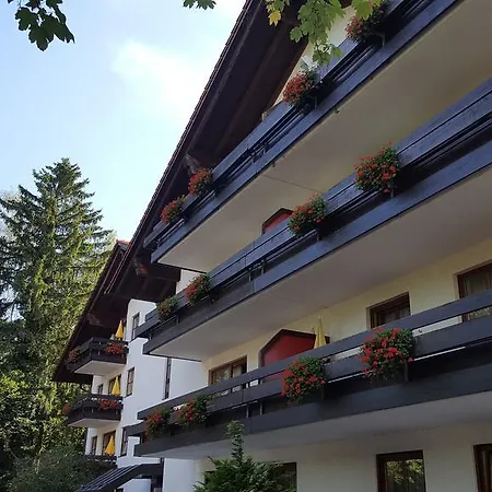 Appartment-hotel-hoelzl 3* Grünwald